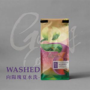 向陽瑰夏 水洗豆 中淺焙 半磅
